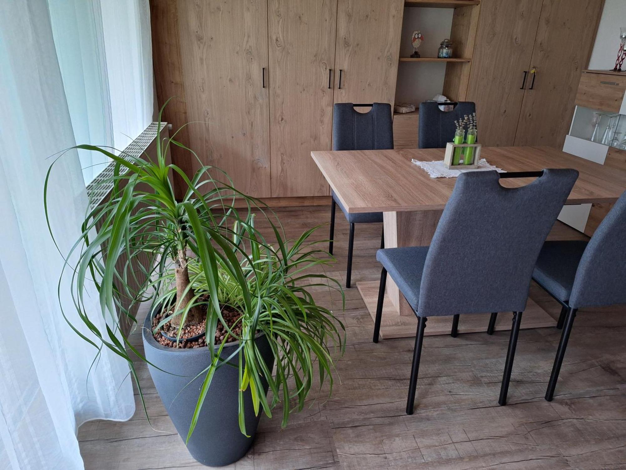 סאוטנס Apartment Eva מראה חיצוני תמונה